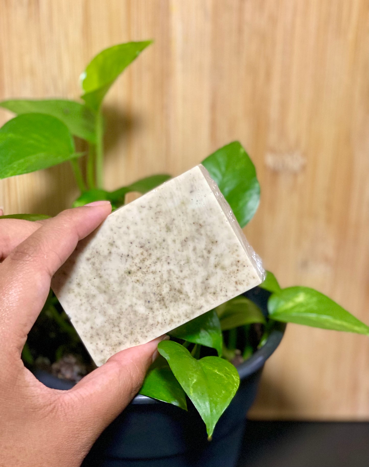 SOAP BARS